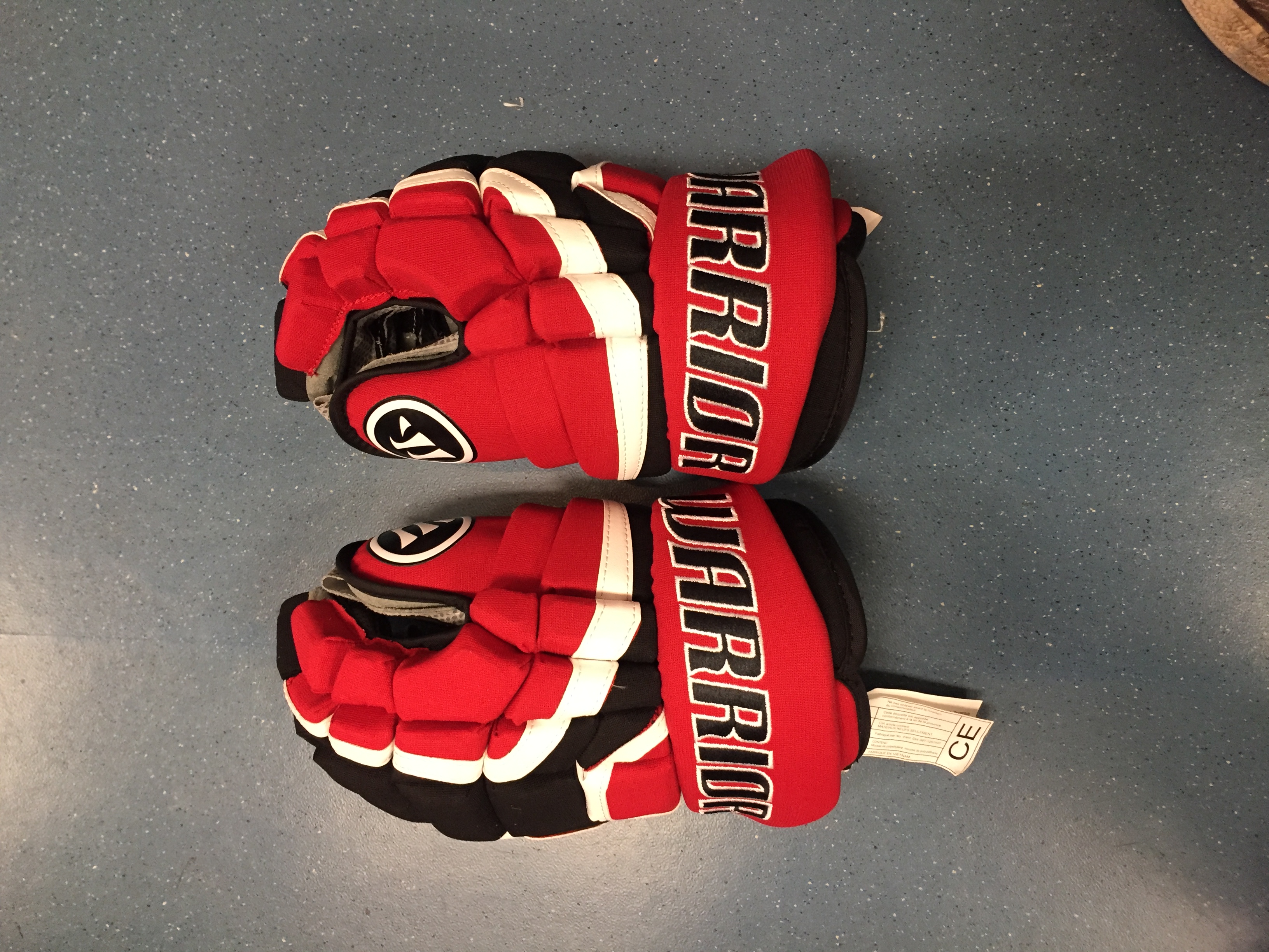 Blueprint Journal The Cost of Hockey